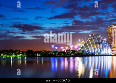 Süd-Ost-Asien, Singapur, Gärten durch die Bucht, Nebelwald, Marina Bay, Supertree Grove Stockfoto