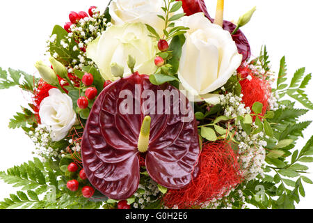 Reihe von Frühlingsblumen isoliert auf weiß Stockfoto