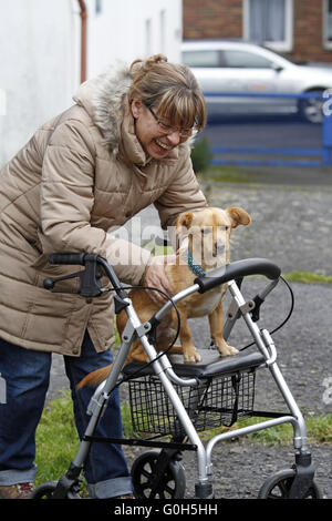 Frau mit Rädern Walker und Hund Stockfoto