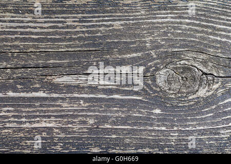 Alte abgenutzte grau verknoteten Holz Stockfoto