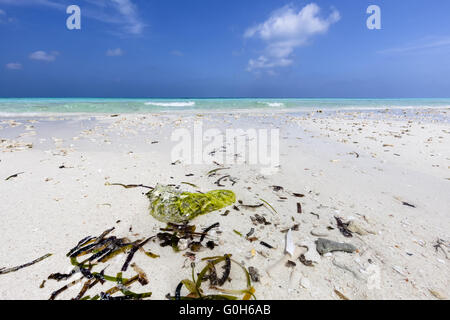 Strand auf den Malediven-Inseln Stockfoto