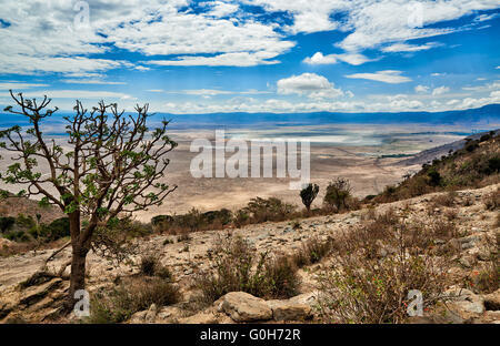 Blick von der Felge in der Ngorongoro Krater Ngorongoro Conservation Area, UNESCO Welt Kulturerbe Website, Tansania, Afrika Stockfoto