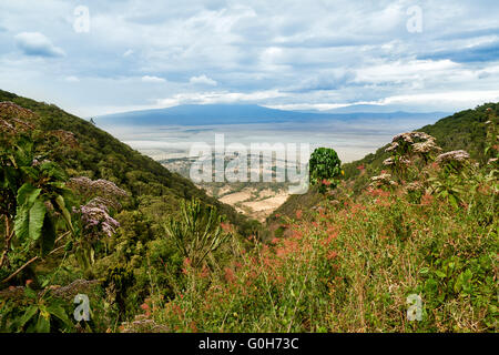 Blick von der Felge in der Ngorongoro Krater Ngorongoro Conservation Area, UNESCO Welt Kulturerbe Website, Tansania, Afrika Stockfoto