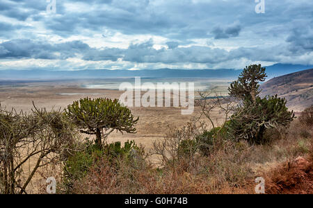 Blick von der Felge in der Ngorongoro Krater Ngorongoro Conservation Area, UNESCO Welt Kulturerbe Website, Tansania, Afrika Stockfoto