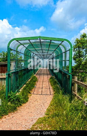 Ein rosa Kiesweg führt zu einer Fußgängerbrücke über die Autobahn M6 Toll, Chasewater Country Park durch grüne Sicherheit Netz geschützt Stockfoto