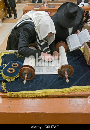 Lesen aus einer Tora-Rolle am Pass über Wochentag Morgen-Service auf eine Synagoge in Brooklyn, New York. Stockfoto