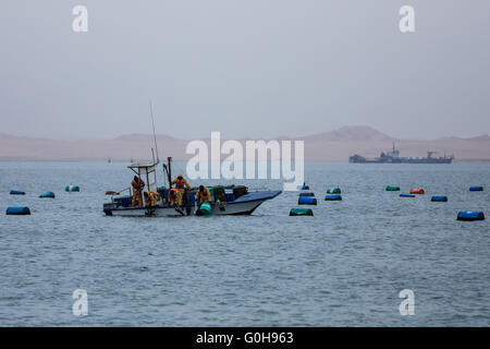 Auster Fischen in Walvis Bay, Namibia. Stockfoto