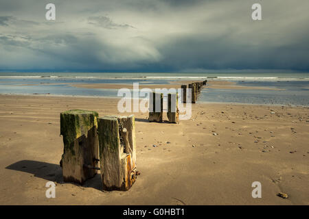 Der irische Strand und der Steg bleiben am leeren Youghal-Strand in Youghal, County Cork, Irland, groynes Wasser Stockfoto