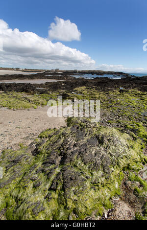 Malerische Aussicht auf die Küste von Anglesey auf der Westküste von Heiligen Island in Borth Wen. Stockfoto
