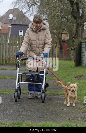 Frau mit Rädern Walker und Hund Stockfoto