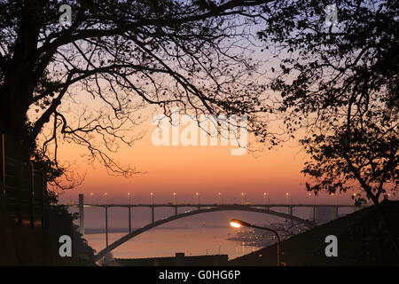 Arrabida Brücke und Baum Schatten, Douro-Fluss Stockfoto