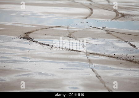 Spuren des Autos auf dem sand Stockfoto