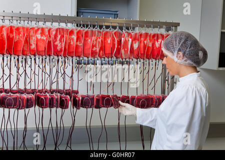 Prüfung von Spenderblut im Blut-Labor Stockfoto