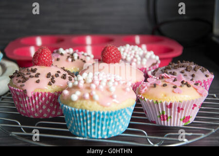 Hausgemachte Muffins Stockfoto