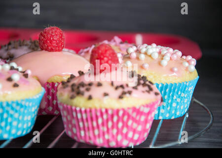 Hausgemachte Muffins Stockfoto