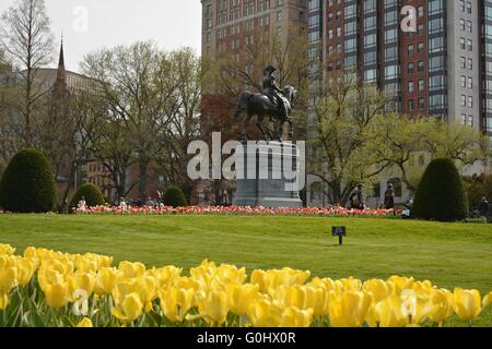 Ein Blick vom Boston Public Garden mit der George Washington-Statue im Hintergrund. Stockfoto