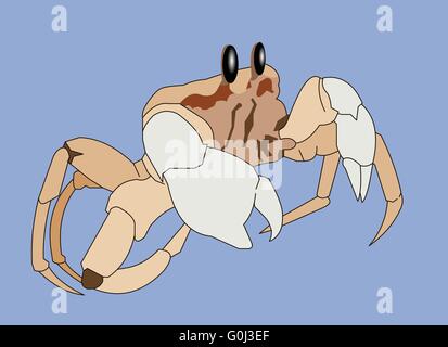 Krabben-Vektor-Cartoon-illustration Stock Vektor