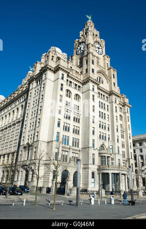 Das Royal Liver Building mit Blick auf den Fluss Mersey am Pier Head in der Stadt von Liverpool in Merseyside Stockfoto