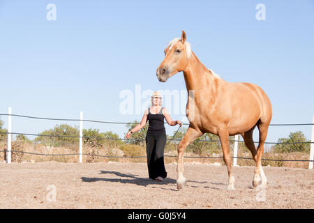 junge Frau Training Pferd draußen im Sommer Stockfoto