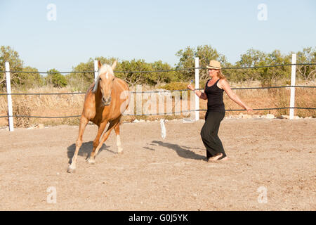 junge Frau Training Pferd draußen im Sommer Stockfoto