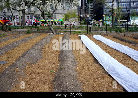 Bei der Batterie Urban Farm, Battery Park, New York City, NY, USA Pflanzung im Frühjahr Stockfoto