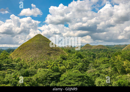 Bohol Philippinen The Chocolate Hills, Bohol die berühmteste Touristenattraktion und eine sehr merkwürdige geologische Besonderheit Adrian Bak Stockfoto