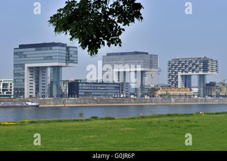 Kranhaus, Kranhauser, südlichen Pier, Rheinauhafen, Köln, Nordrhein-Westfalen, Deutschland / Köln, Kranhaus, Häuser, Kranhäuser Stockfoto