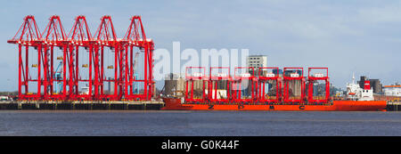 Operative Cantilever Rail-Mounted Gantry (CRMG)-Krane in Liverpool, Merseyside, Großbritannien, 2. Mai 2016. Chinesische Stahlkrane kommen in der Mersey an. Das Schiff Zhen Hua ist von einem Dock in Nantong, China, gestartet und trug sechs Krane, die auf dem £300m Liverpool2 Tiefwasser-Container-Terminal-Bauprojekt verwendet werden. Das von Peel Ports geleitete Programm zielt darauf ab, die Flussmündung von Mersey zu vertiefen, um einige der größten Boote der Welt unterbringen zu können. Insgesamt werden ‘Rahmen von Liverpool2 acht Ship-to-Shore-Megamax-Krane und 22 freitragende, auf Schienen montierte Portalkrane an Peel Ports geliefert. Stockfoto