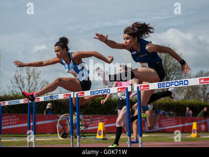 Bedford, UK. 1. Mai 2016. Stephanie Clitheroe   Yasmin Miller im Wettbewerb mit der Frauen 100m Hürden Vorläufe bei den BUCS Outdoor-Leichtathletik-Weltmeisterschaft, Bedford-Stadion, 1. Mai 2016 Credit: Gary Mitchell/Alamy Live News Stockfoto