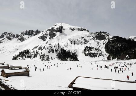 Shangri-La, China. 2. Mai 2016. Touristen genießen die Landschaft auf den Balagezong Schneeberg im Shangri-La, der südwestlichen chinesischen Provinz Yunnan, 2. Mai 2016. Balagezong Schneeberg, der 5.545 m über dem Meeresspiegel, ist der höchste Gipfel des Shangri-La-Region. Bildnachweis: Xinhua/Alamy Live-Nachrichten Stockfoto