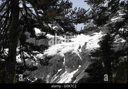 Shangri-La, China. 2. Mai 2016. Foto auf 2. Mai 2016 zeigt Landschaften auf den Balagezong Schneeberg im Shangri-La, der südwestlichen chinesischen Provinz Yunnan. Balagezong Schneeberg, der 5.545 m über dem Meeresspiegel, ist der höchste Gipfel des Shangri-La-Region. Bildnachweis: Xinhua/Alamy Live-Nachrichten Stockfoto