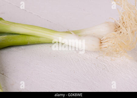 Bündel von frischem Lauch oder Frühlingszwiebeln Stockfoto