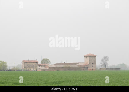 Ein Feld von Weizen und landwirtschaftlichen Gebäuden in Norditalien Stockfoto