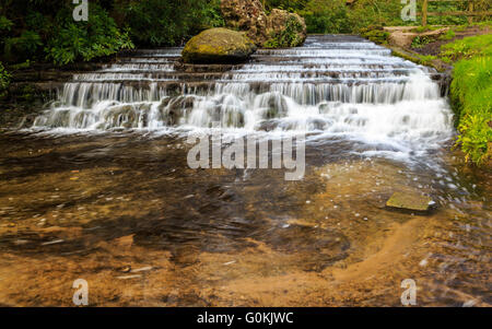 Eine von Menschen gemachte trat Wasserfall auf dem Gelände des Newstead Abbey. Bei Newstead Abbey Newstead, Nottinghamshire, England Stockfoto