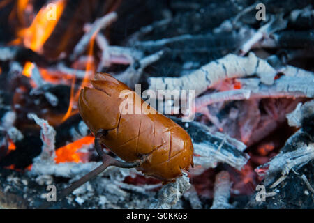 Wurst am Spieß über dem Feuer. Würstchen am Lagerfeuer vorbereiten Stockfoto