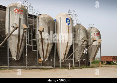 Animal Feed Lagerplätze auf einem Milchviehbetrieb in der Nähe von Crema in Norditalien Stockfoto