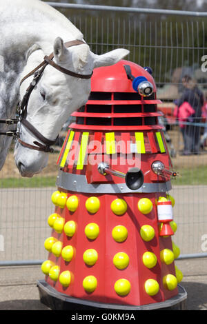 Beugen den Kopf an die Daleks Pferd Stockfoto