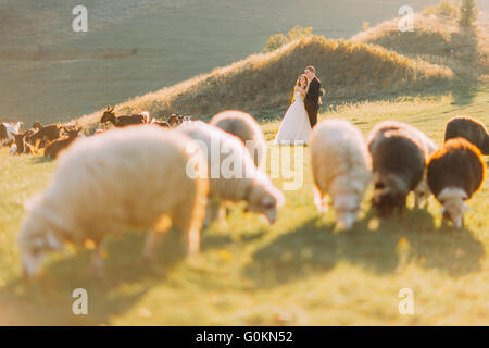 Schönen Ehepaar in der Nähe von Herde von Schafen auf schöne Bergwiese Stockfoto
