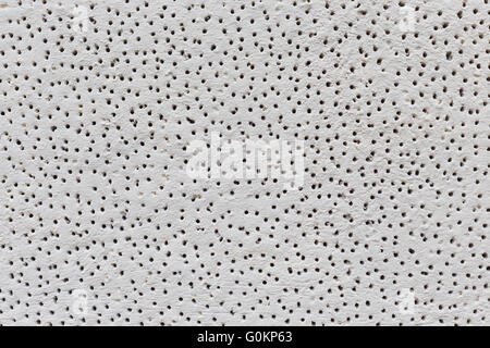 Beschaffenheit der Wand mit Putz mit kleinen Löchern bedeckt. Stockfoto