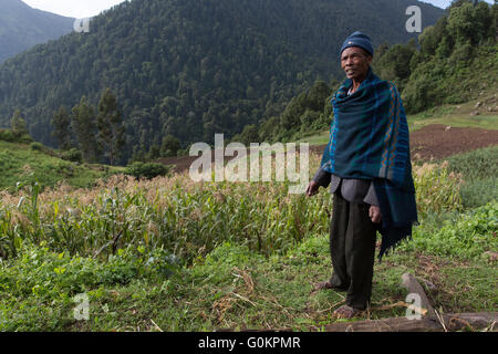 Wofwasha Kebele, Nord-Shewa, Äthiopien, Oktober 2013: Hailemariam Woldoyohanus, 37, in seinem Maisfeld. Stockfoto
