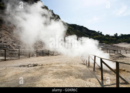 Solfatara Vulkan. Dampf & schwefelhaltige Dämpfe steigen aus Fumerole / Formationen. Pozzuoli nr Neapel Italien; Campi Flegrei Vulkangebiet Stockfoto