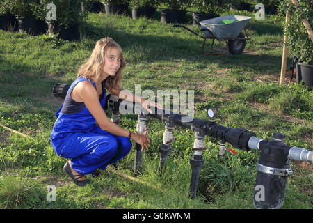 Eine Baumschule Garten Bewässerung mit einem Bewässerungssystem Stockfoto