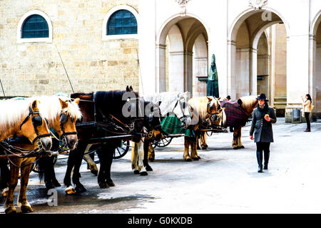 Fiaker in Salzburg, Österreich; Fiaker in Salzburg, Österreich Stockfoto