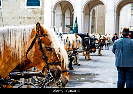 Fiaker in Salzburg, Österreich; Fiaker in Salzburg, Österreich Stockfoto