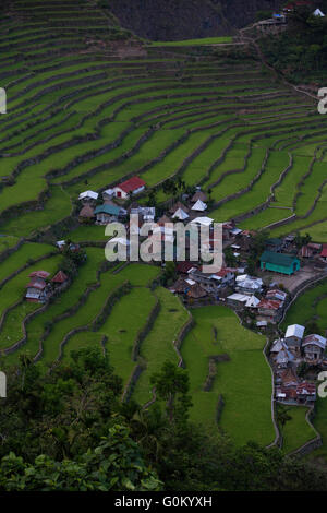 Alten Reis Terrassen von Batad liegt in der Region von Banaue, Cordilleras, nördlichen Philippinen Stockfoto