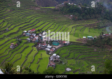 Alten Reis Terrassen von Batad liegt in der Region von Banaue, Cordilleras, nördlichen Philippinen Stockfoto