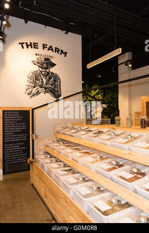 Die Farm, Potts Point, Sydney, New South Wales, Australien. Stockfoto