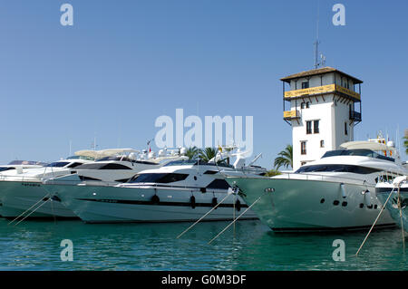 Motoryachten aufgereiht ein Porto Portals Marina, Mallorca, Balloeric Insel, Spanien. Stockfoto