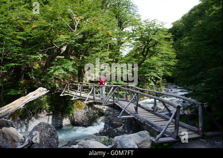 Wanderer auf Holzbrücke überqueren Creek auf Weg zum Aussichtspunkt Las Torres, Torres del Paine Nationalpark, Patagonien, Chile Stockfoto