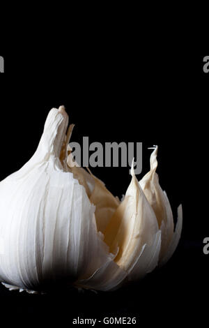 Nahaufnahme von Knoblauch Zwiebel auf schwarzem Hintergrund Stockfoto